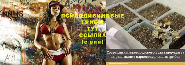 винт Баксан