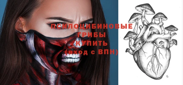 винт Баксан