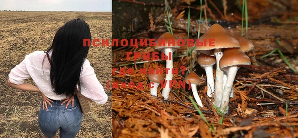 стафф Грязовец