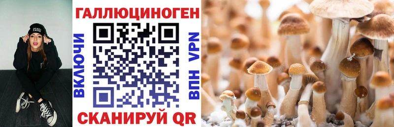 Псилоцибиновые грибы ЛСД  Давлеканово 