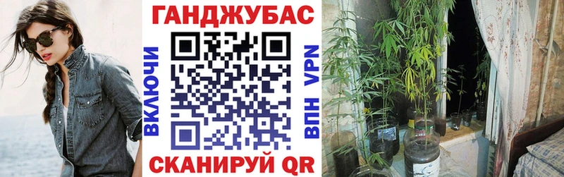 Марихуана план  Давлеканово 